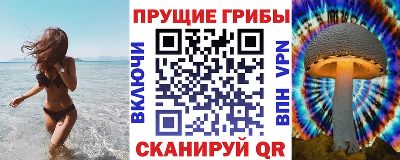 ОМГ ОМГ зеркало купить Ак-Довурак Галлюциногенные грибы мухоморы